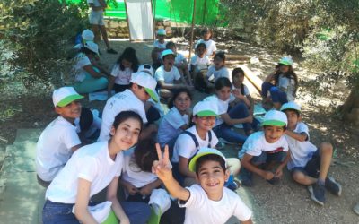 Camp d’été – Juillet 2019